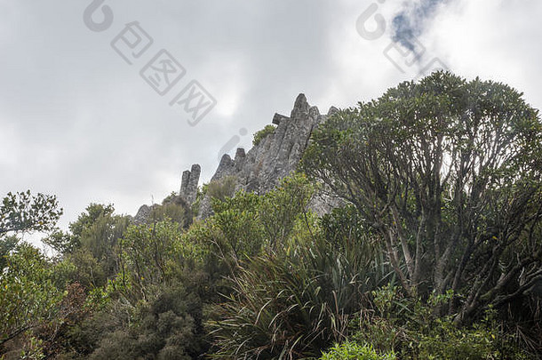 风琴管，火山岩层，在卡吉尔山上，新西兰达尼丁绿意盎然