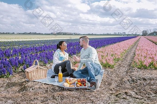荷兰的春花季节，一对夫妇在春天在Lisse的球茎区野餐，背景是风信子花