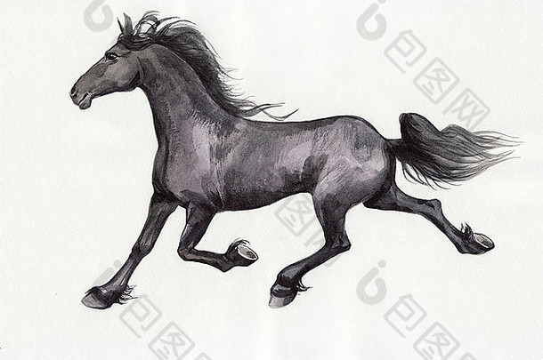 白色背景上孤立的黑色奔跑的马的原始水彩<strong>画</strong>。