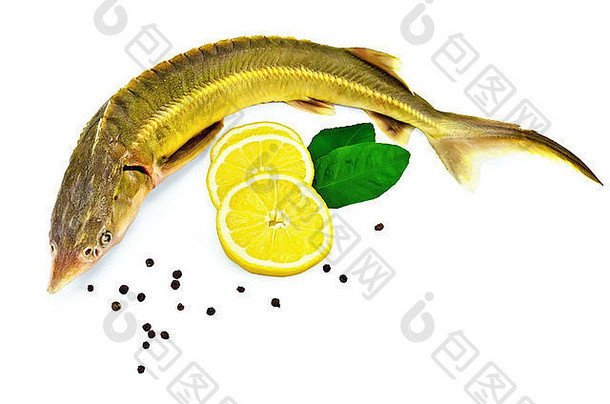 鲟鱼有柠檬、胡椒和柠檬绿两片叶子，白色背景上分开