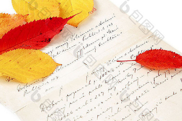 手写的信颜色秋天叶子