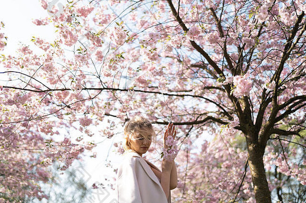 美丽的金发女郎年轻的女人樱花樱桃开花公园春天享受自然免费的时间旅行旅游免费的时间穿