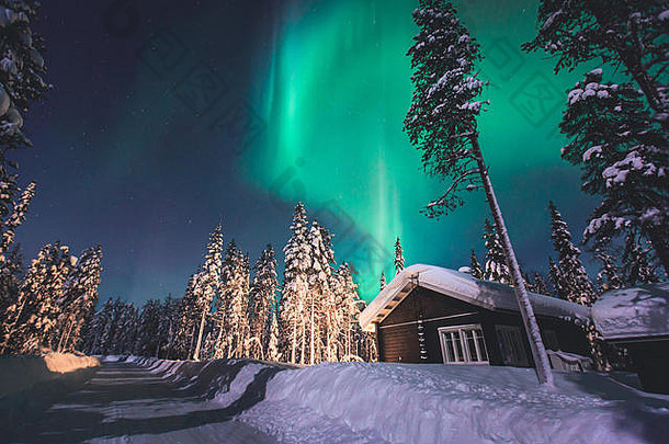 这是一幅美丽的图片，描绘了大量多彩的绿色充满活力的北极光，极光，也被称为拉普兰夜空中的北极光