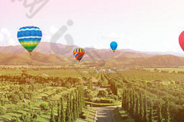 气球飞花园种植园时间日落日出复制空间概念图片