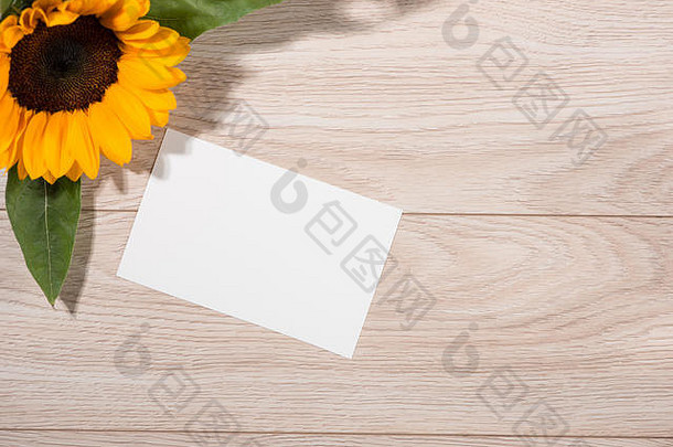 黄色的花和空白的纸在木制的背景上为你的文本