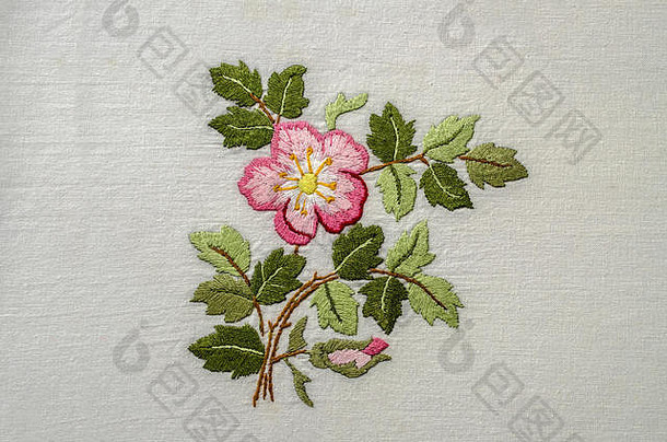 亚美尼亚埃里温，2018年6月4日：花粉色的茶玫瑰，带有花蕾和叶子，在粗糙的棉布上绣有缎子