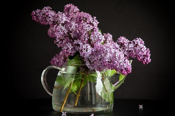 花束美丽的春天花淡紫色黑色的