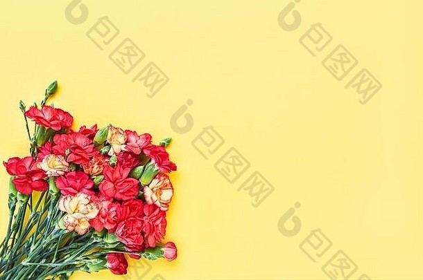 黄底康乃馨花束。母亲节、情人节、生日庆祝概念。文本空间，俯视图
