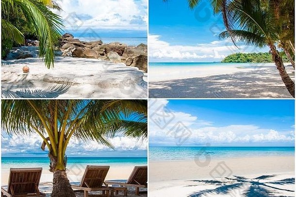 照片拼贴画热带海滩棕榈树