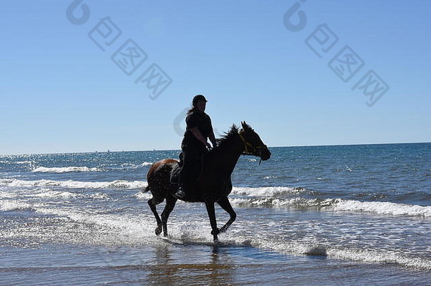 马骑海滩