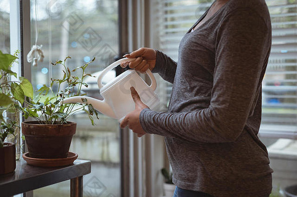 年轻的孕妇在家里给植物浇水