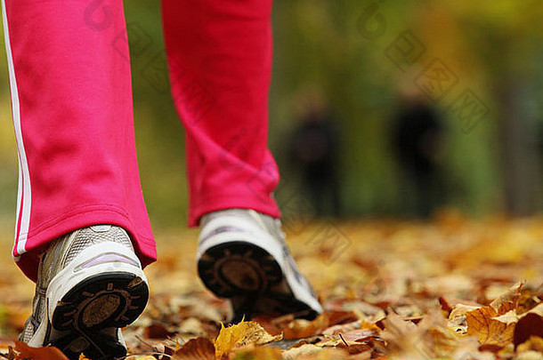 跑步者的腿和跑鞋。运动型女子慢跑在森林小径上的秋季公园户外散步，秋天的树叶金黄