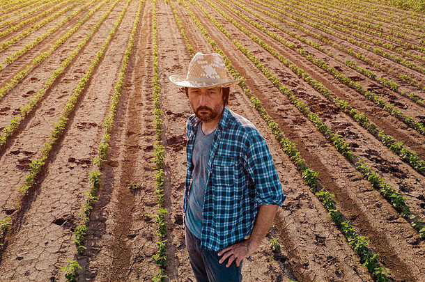 农民站在种植的大豆田里，从无人驾驶pov的高角度观察作物的生长