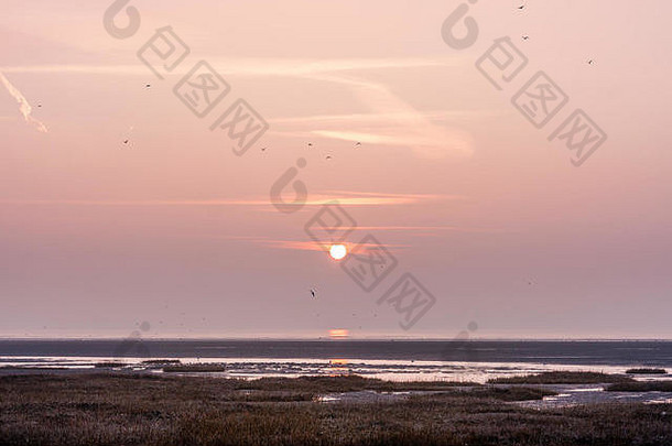 冬天佩格韦尔湾英吉利海峡日出。低潮时的盐水沼泽地，生长着大量的米草丛。朦胧的天空。