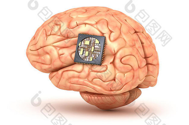 人类大脑电脑芯片
