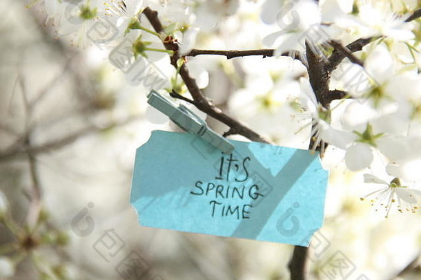 在春天阳光明媚的日子里，它有春天的标签和白色的花朵
