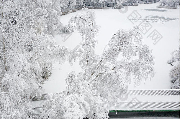 鸟瞰冬季美丽的风景，树木覆盖着白霜和白雪。从上面看冬天的景色。用无人机拍摄的风景照片。