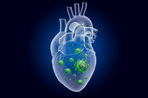 心脏带病毒，鬼光效应，x射线全息图。深蓝色背景下的三维渲染