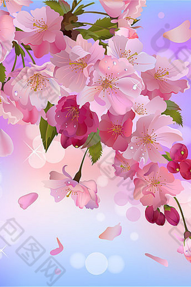 春天的背景是美丽的花朵的柔嫩枝条