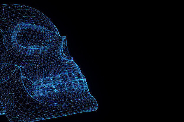 运动中的人体头骨三维线框全息图。漂亮的3D渲染
