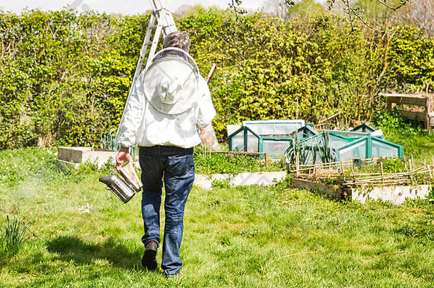 养蜂人在开花的田野边走边检查他的一排蜂箱。真实的生活场景