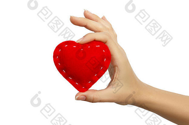 红色的心在女人的手上孤立着白色。情人节。
