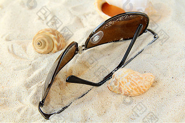 太阳镜贝壳白色沙子海滩假期概念