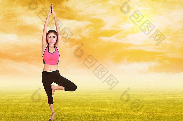 年轻的女人瑜伽锻炼草天空日落