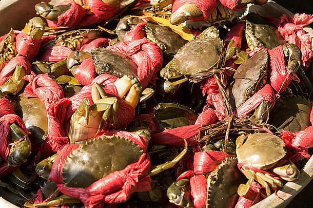 海鲜市场红蟹
