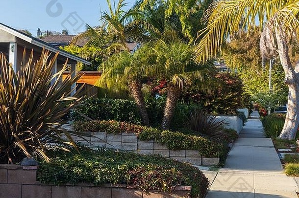 加州街景：人行道上的家庭景观。摄于2020年2月的公共空间。