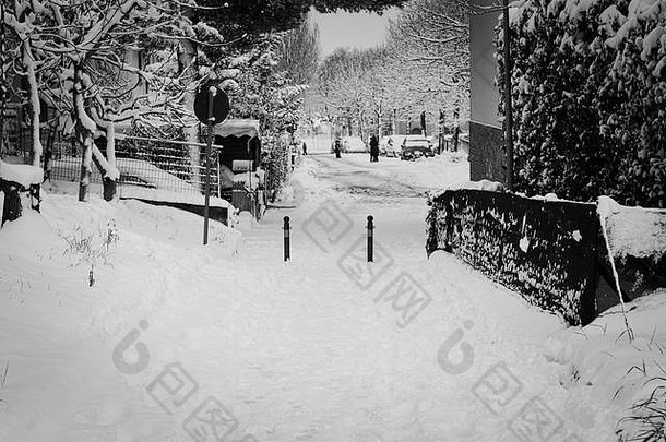冬季多雪的街道（意大利佩萨罗）