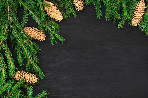 白色背景上有圆锥形的冬季树枝的圣诞节圆形框架。节日的冬季背景。