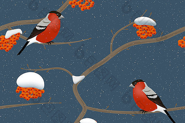 冬天和雪天，罗文树上的牛雀