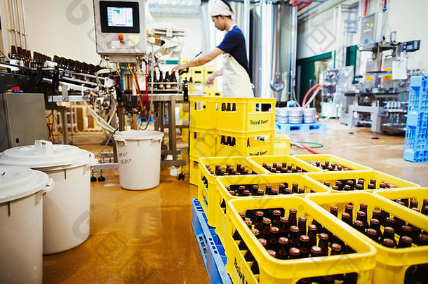 工人啤酒厂黄色的塑料创建啤酒瓶