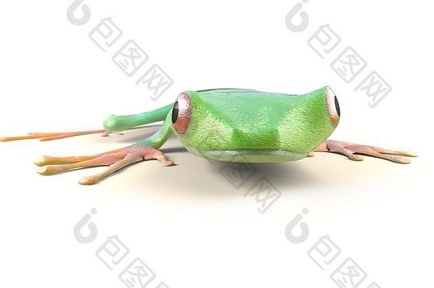 来自哥斯达黎加热带雨林的红眼树蛙，被隔离在白色地面上。阿加利奇尼斯卡利德里亚斯。三维插图