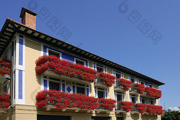 纳瓦拉美丽多彩的房子，阳台上开着红花