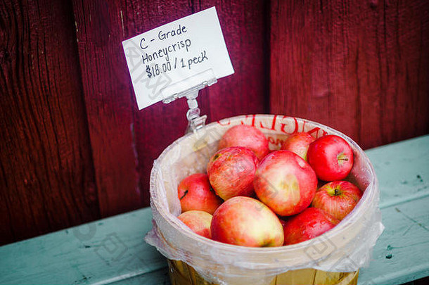 农场上出售的蜂蜜脆苹果-加拿大安大略省