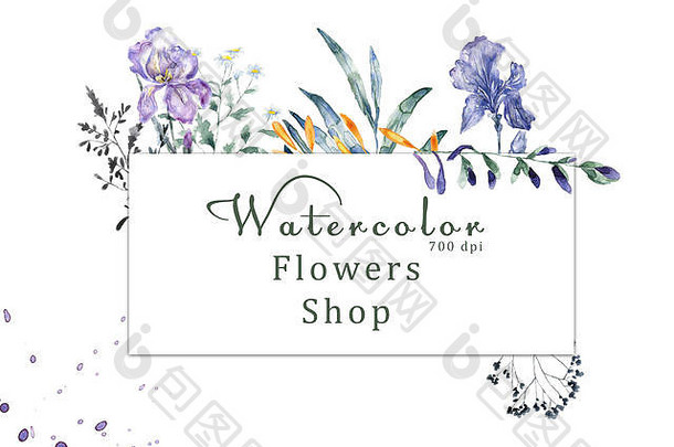 白色背景水彩花卉700 dpi类似插画叶子绿色设计花卉商店礼品卡