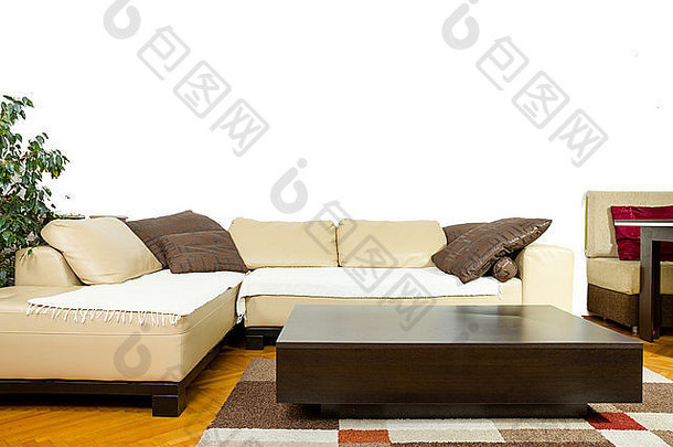 空生活房间角沙发dinner-wagon植物窗帘花瓶地毯地板室内现代经典