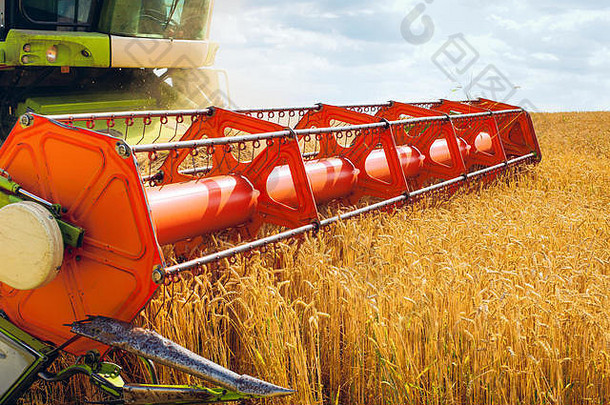 联合收割机收割成熟的小麦。农业形象