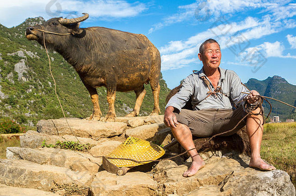 中国辉县风景如画的山谷中，一位农民在石桥上牵着水牛，周围是喀斯特石灰岩山脉。