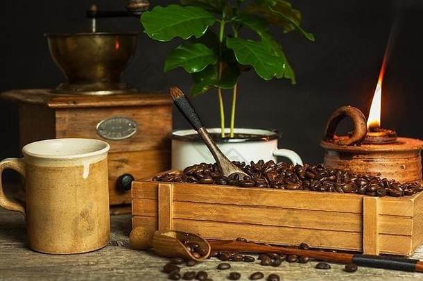 咖啡豆子咖啡幼苗咖啡交易作物生产广告咖啡馆