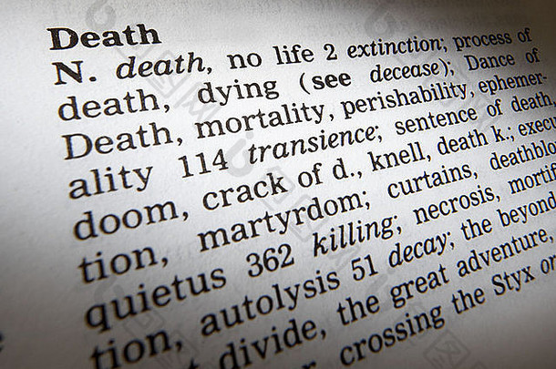 同义词典页面显示定义词死亡
