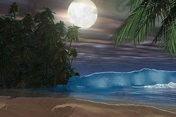 月圆之夜，月光照在这美丽的海滩上。
