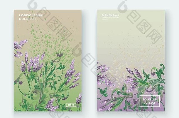 薰衣草花卉图案封面设计。手绘创意花。优雅时尚的艺术背景，绽放绿色的枝叶。图解我们