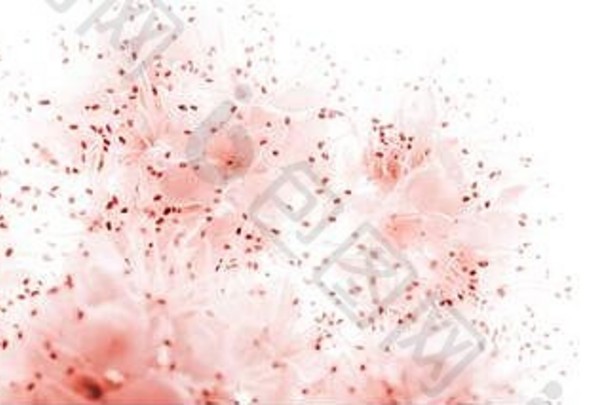 抽象花卉背景，粉色花朵，柔和色调