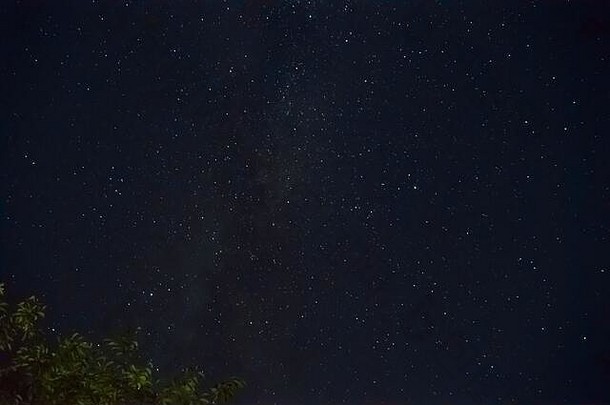 长曝光晚上照片很多星星很多星座星云天空树分支框架晚上景观软噪音月!
