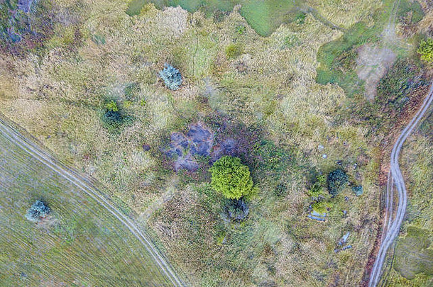 森林和田野的空中摄影