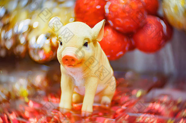 圣诞装饰品和玩具。圣诞节和新年以猪为新年象征，以柔和的焦点为背景。