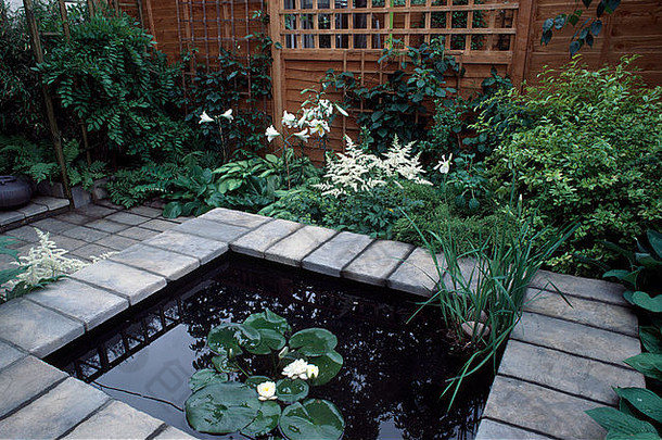 水池中的睡莲，用石头铺砌，小镇花园里有白色的落新妇和睡莲